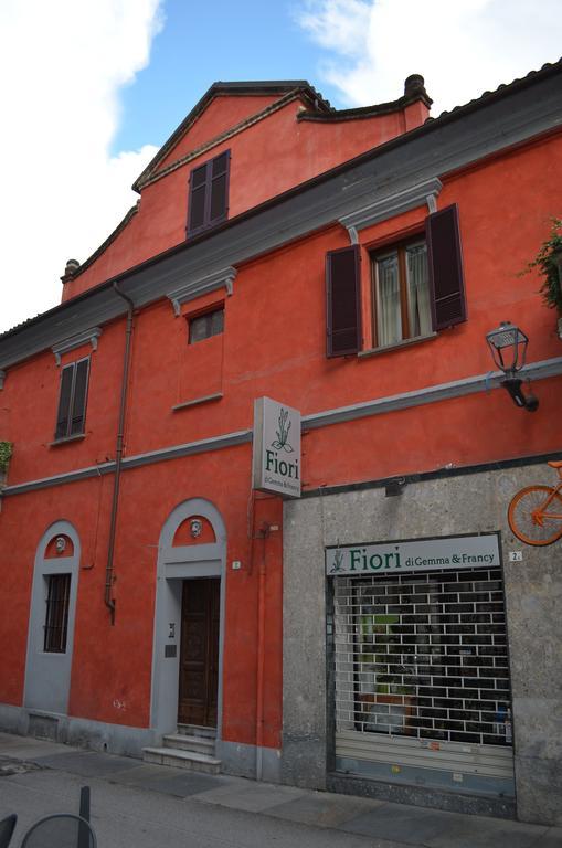 Apartment Alfieri Alba (Piedmont)